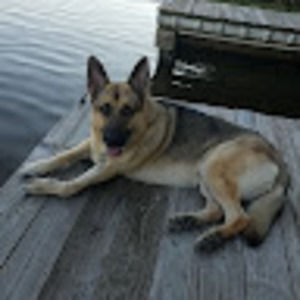 Meet your Posher, Erica